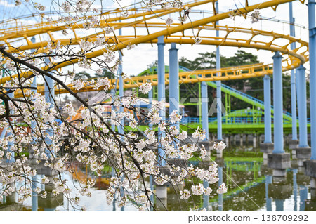 Hanazouji公園盛開 138709292