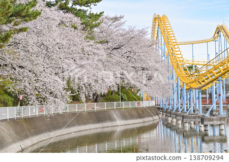 Hanazouji公園盛開 Hanazouji公園盛開 138709294