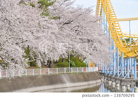 Hanazouji公園盛開 138709295