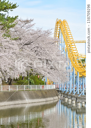 Hanazouji公園盛開 Hanazouji公園盛開 138709296