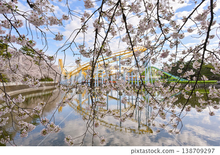Hanazouji公園盛開 138709297