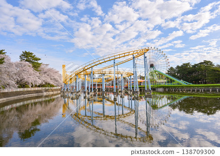 Hanazouji Park in full bloom of cherry blossoms 138709300