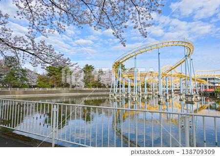 Hanazouji公園盛開 138709309