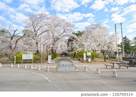 Hanazouji公園盛開 Hanazouji公園盛開 138709314