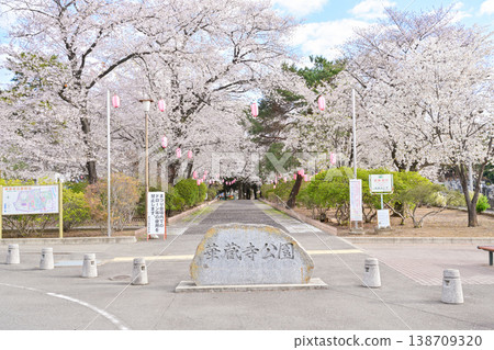 Hanazouji公園盛開 Hanazouji公園盛開 138709320