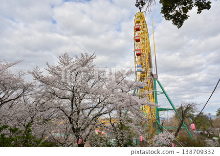 Hanazouji公園盛開 138709332