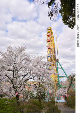 Hanazouji公園盛開 138709333