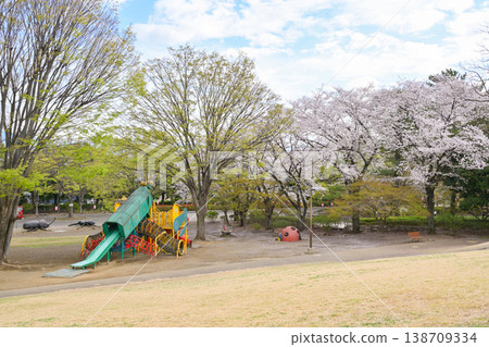 Hanazouji公園盛開 Hanazouji公園盛開 138709334