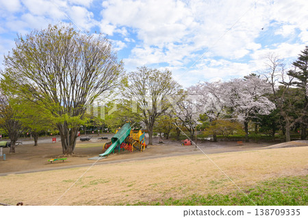 Hanazouji公園盛開 138709335