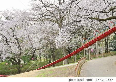 Hanazouji公園盛開 Hanazouji公園盛開 138709336