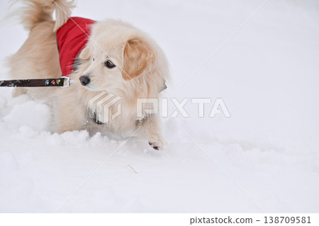 走在一個下雪天 走在一個下雪天 138709581