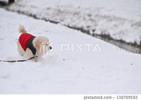 走在一個下雪天 走在一個下雪天 138709582