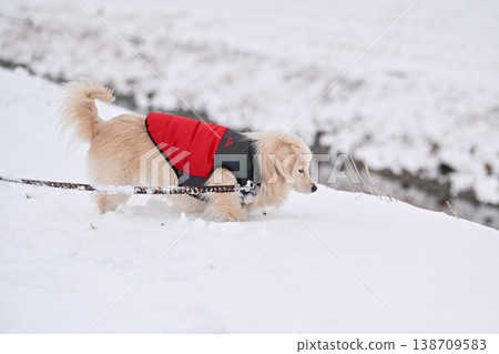 走在一個下雪天 138709583