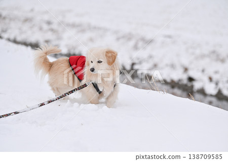 走在一個下雪天 138709585
