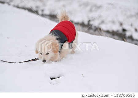 Walk on a snowy day Walk on a snowy day 138709586