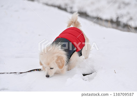走在一個下雪天 138709587