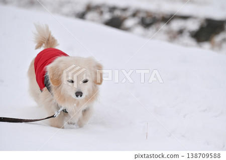 走在一個下雪天 138709588