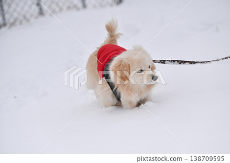 走在一個下雪天 138709595
