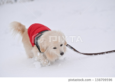 走在一個下雪天 138709596