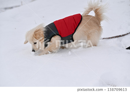走在一個下雪天 走在一個下雪天 138709613