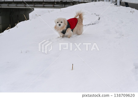 Walk on a snowy day Walk on a snowy day 138709620