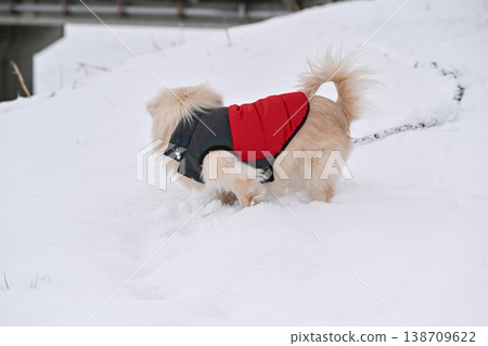 走在一個下雪天 138709622