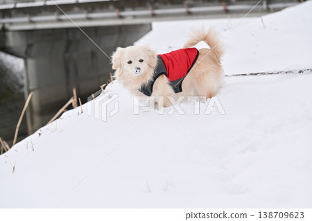 走在一個下雪天 138709623