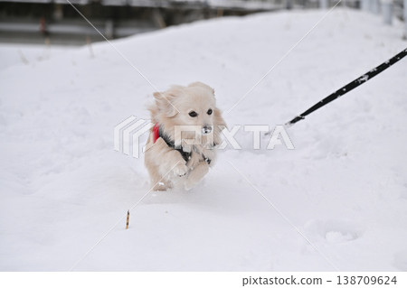 走在一個下雪天 138709624