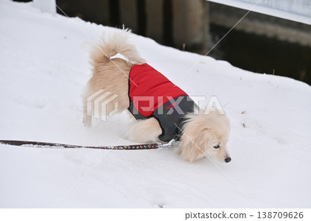 走在一個下雪天 走在一個下雪天 138709626