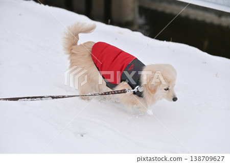 走在一個下雪天 走在一個下雪天 138709627