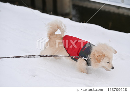 走在一個下雪天 走在一個下雪天 138709628
