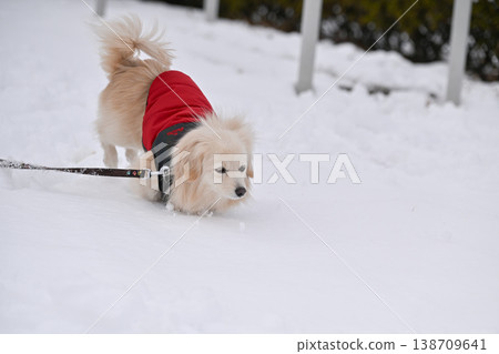 走在一個下雪天 138709641