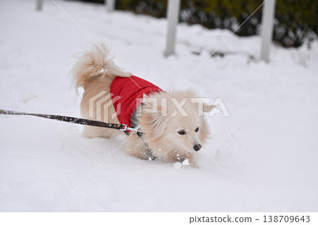 走在一個下雪天 走在一個下雪天 138709643