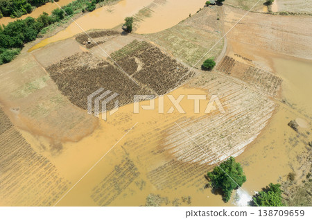 Flash flood destroys corn and vegetable crop in Southeast asia. 138709659