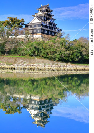【岡山縣】晴空萬裡下，岡山城天守閣呈現對稱佈置。 138709993