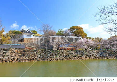 【岡山縣】盛開的櫻花和岡山城 【岡山縣】盛開的櫻花和岡山城 138710047
