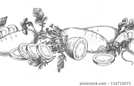 Daikon sketch. Vector illustration of the vegetable in an engraving style. Seamless pattern of whole roots and slices of radish lying on a table. Hand drawn, imitating etching. Horizontal ornament. Daikon sketch. Vector illustration of the vegetable in an engraving style. Seamless pattern of whole roots and slices of radish lying on a table. Hand drawn, imitating etching. Horizontal ornament. 138710073