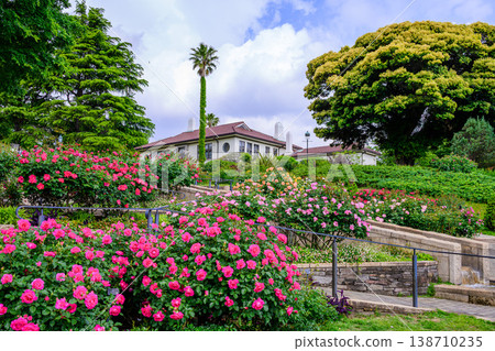 Roses in full bloom and the Yokohama British House: A vibrant early summer scene at Harbor View Park. Roses in full bloom and the Yokohama British House: A vibrant early summer scene at Harbor View Park. 138710235