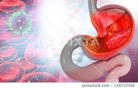 Human Stomach Anatomy on science background Human Stomach Anatomy on science background 138710306