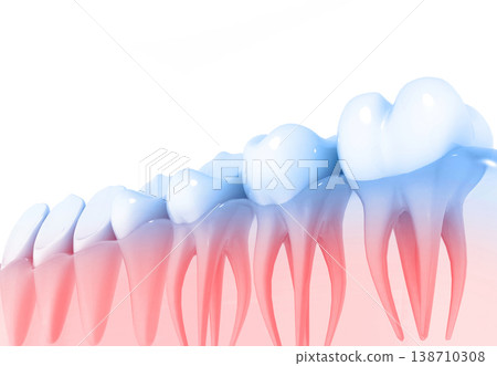Tooth anatomy Tooth anatomy 138710308