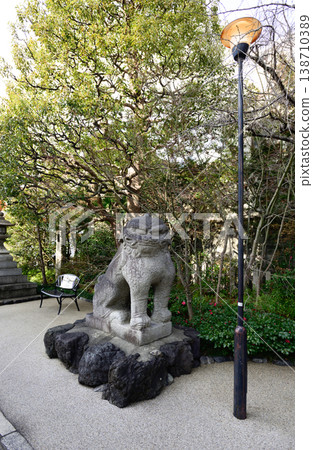 The guardian dog of the Shimami Shrine 138710389