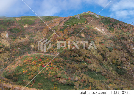 Autumn leaves of Tsugaike Nature Park Autumn leaves of Tsugaike Nature Park 138710733
