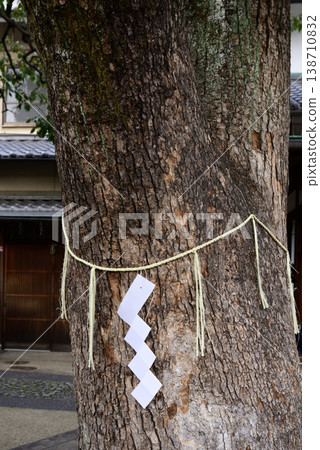 Harumi Shrine Kamiki Kusunoki 138710832