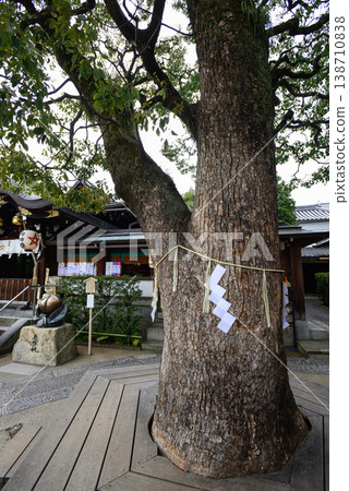 Harumi Shrine Kamiki Kusunoki 138710838