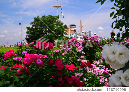 山下公園美麗的春季花園 138710996
