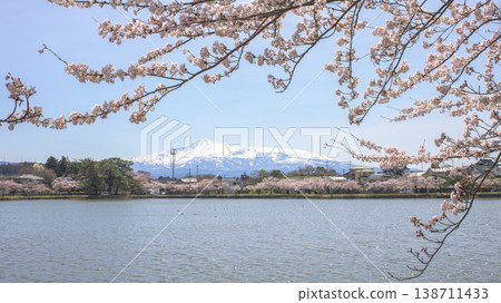 櫻花盛開:春日秋田縣星石公園和鳥海山 櫻花盛開:春日秋田縣星石公園和鳥海山 138711433