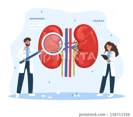 Pyelonephritis concept. Female and male doctors diagnosis kidney infection. Internal organ check up. Vector illustration in flat cartoon style Pyelonephritis concept. Female and male doctors diagnosis kidney infection. Internal organ check up. Vector illustration in flat cartoon style 138711588