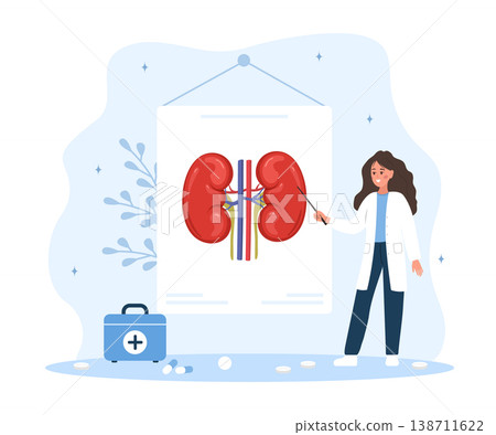 Kidney anatomy illustration with female doctor. Medical diagnosis and health care treatment. Internal organ study. Renal disease concept. Education poster. Vector in flat cartoon style 138711622