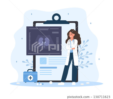 Kidney ultrasound exam. Female doctor diagnosis renal diseases. Medical illustration of internal organ health. Human anatomy scan. Vector illustration in flat cartoon style Kidney ultrasound exam. Female doctor diagnosis renal diseases. Medical illustration of internal organ health. Human anatomy scan. Vector illustration in flat cartoon style 138711623