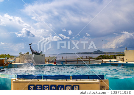 Okinawa Churaumi Aquarium Dolphin Show Okinawa Churaumi Aquarium Dolphin Show 138711928